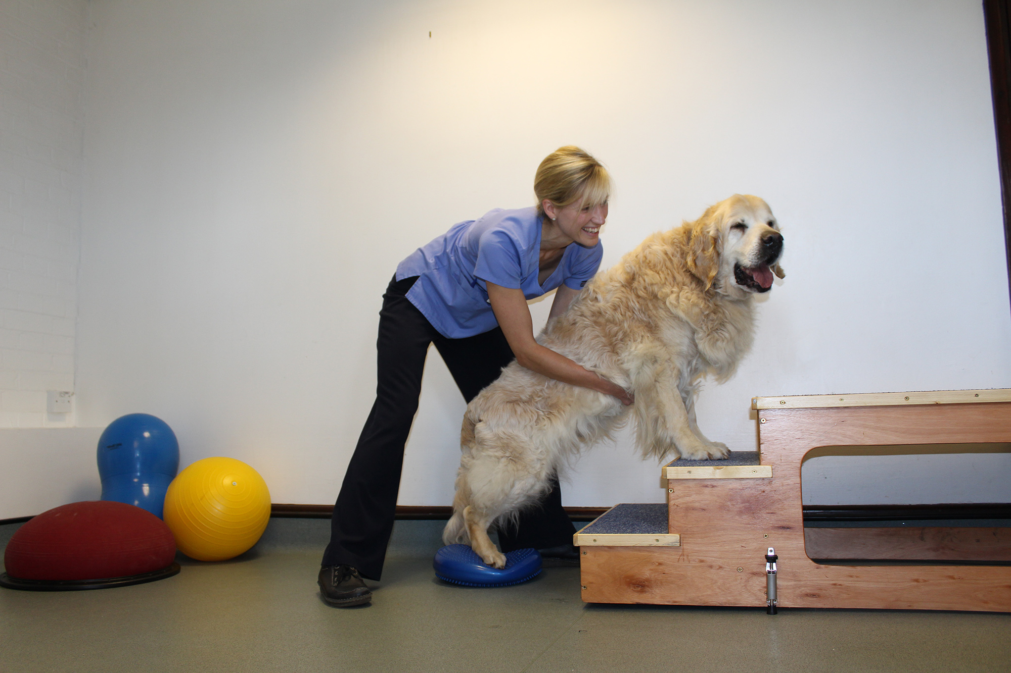 Veterinary Physiotherapy